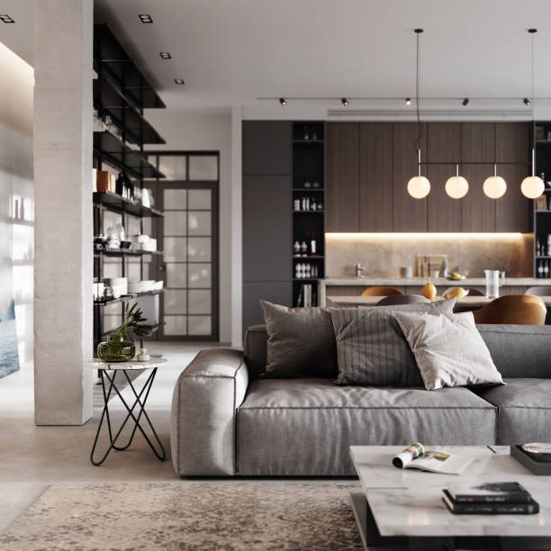Gray and modern living room 